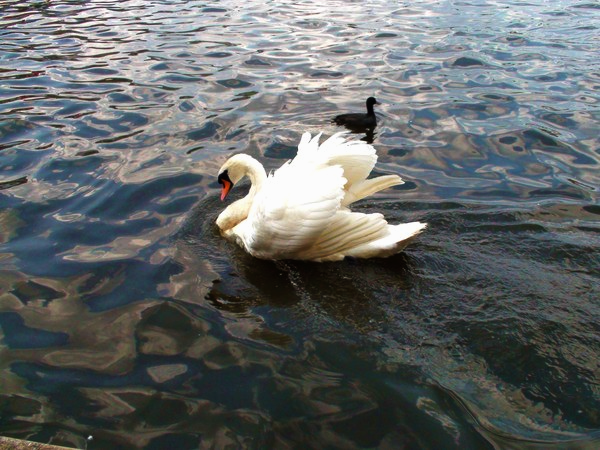 Еремеева Оксана