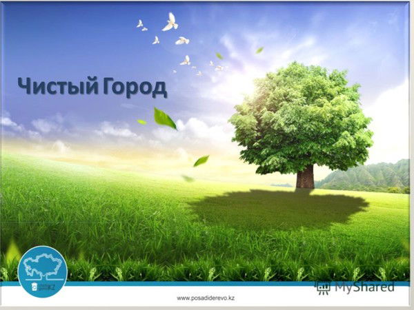 Город Чистый