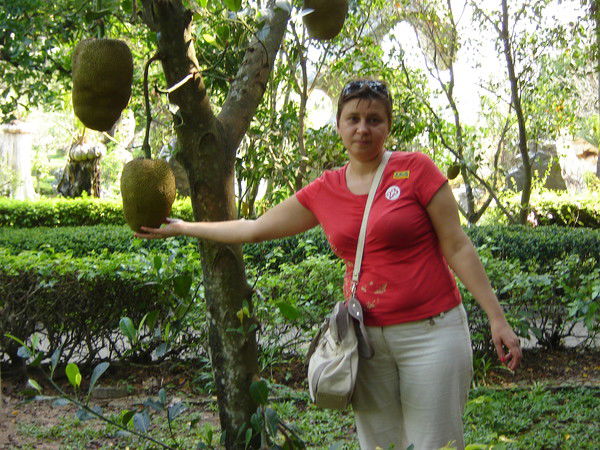 Юлия Помогайлова