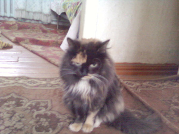 Нина Мартишкина