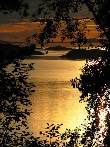 Артём Курманов