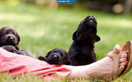 Надежда Пилюгина