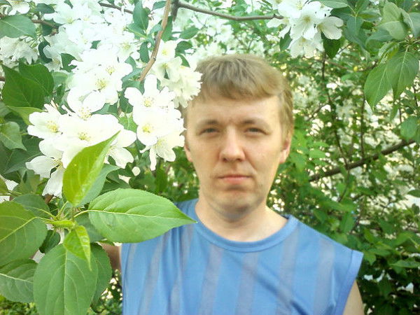 Сергей Тимофеев