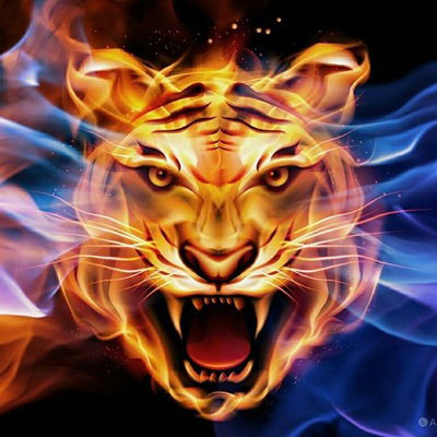 Толик Гончаров