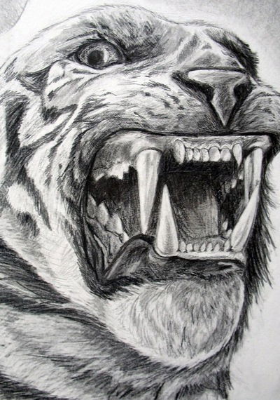 Артём Белоконь