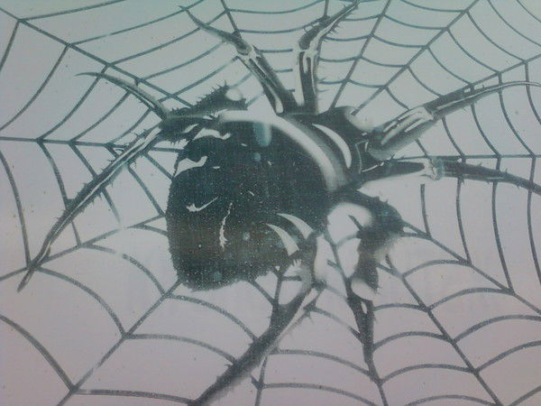 Сергей Николаевич