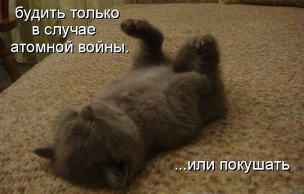 Евгений Романов