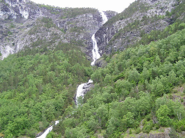 Ирина Филипцова