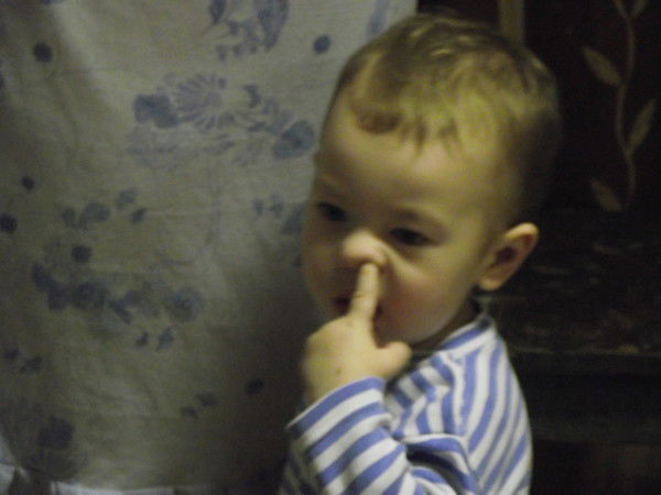 Николай Хозеев