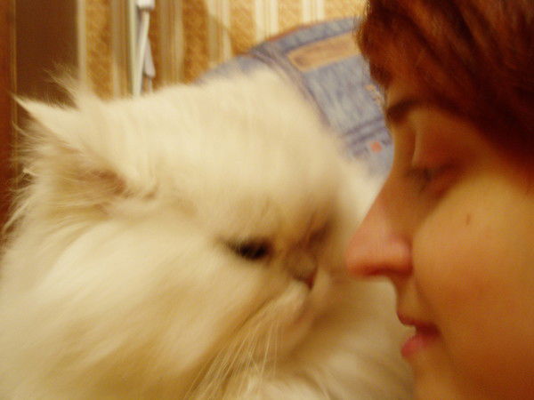 Анна Герасимова