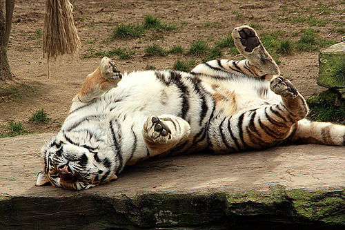 (Bbg) Андрей Борисов