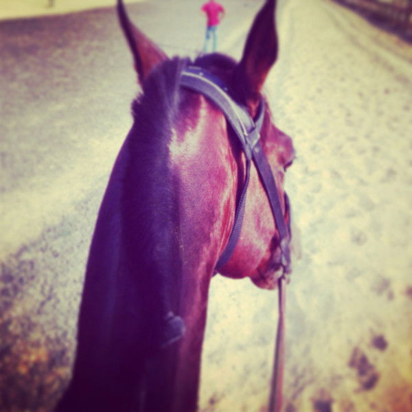 Исламбек Аманкелдi