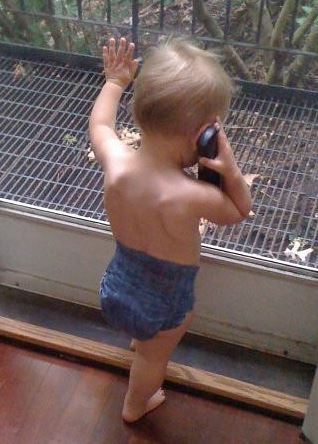 Кошельник Кошельник