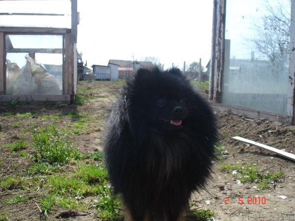 Ирина Зарыпова