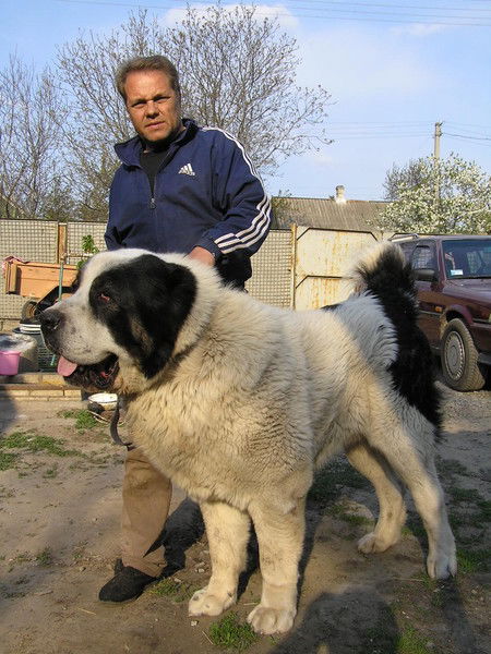 Леонид Кривоченко