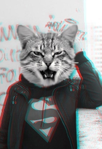 Кирилл Дударев