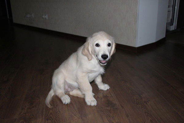 Маша Бобылева