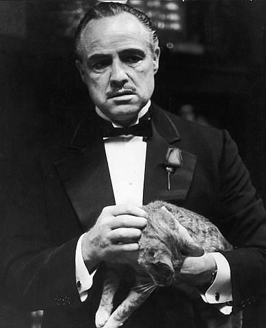 Принц 09 Региона