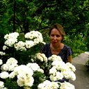 Лариса Валова