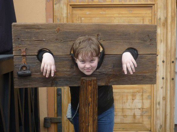 Елена Терехина