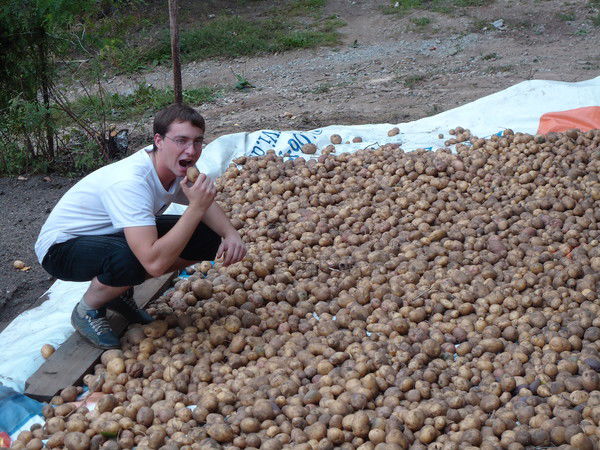 Дмитрий Шемуда