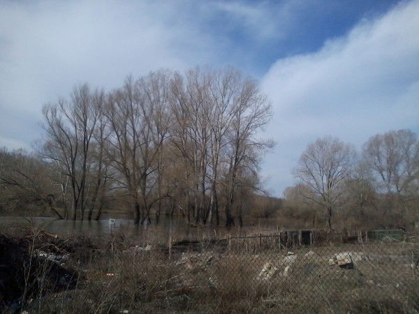 Разия Муфтеева