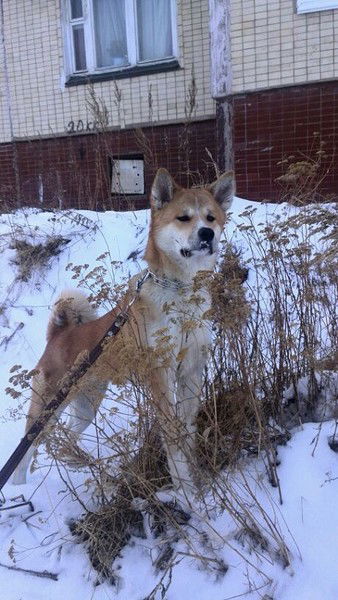 Наталья Бальцежак