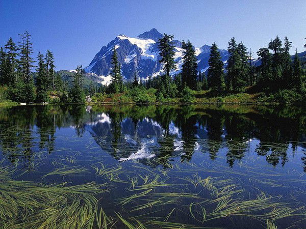 Дмитрий Карпенко