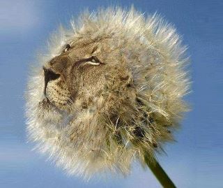 Оксана Серова