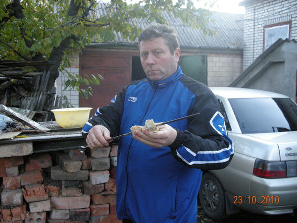 Алексей Евдокимов