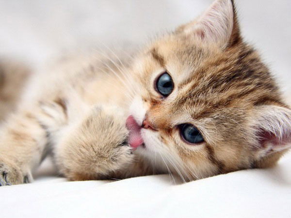 Татьяна Хусаинова