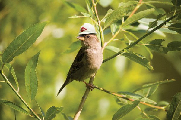 Сергей Попов
