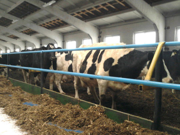 Государственное Предприятие "племенной З