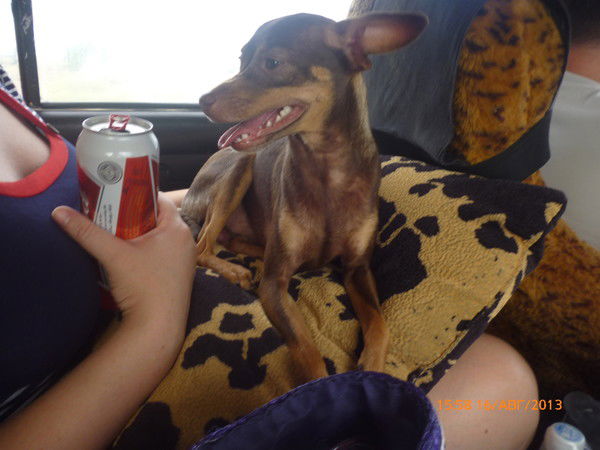 Галина Лучина