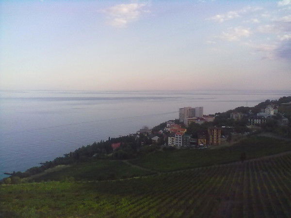 Лина Антошко