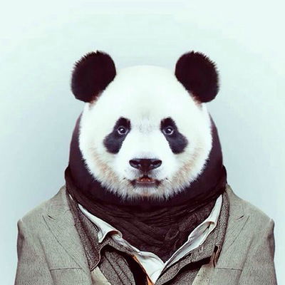 Сергей Ташкинов