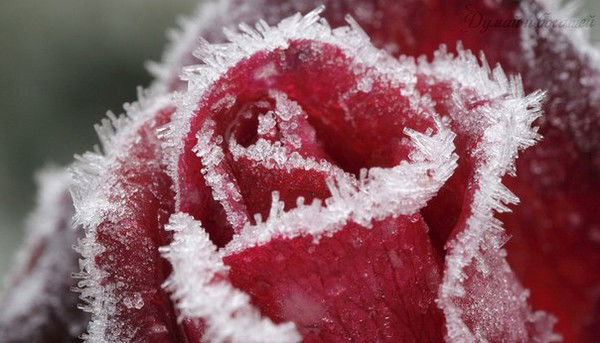 Асель Жунусова