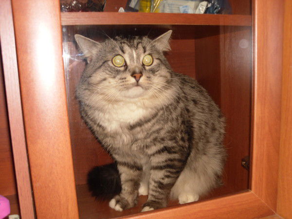 Оксана Шикарная