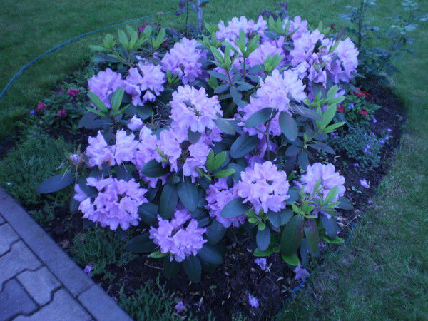 Татьяна Зайцева-Малышева