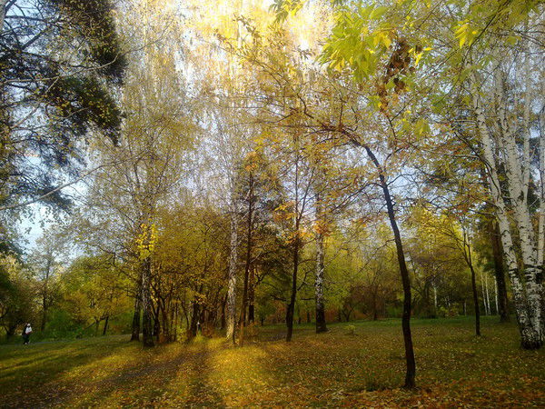 Александр Орешков