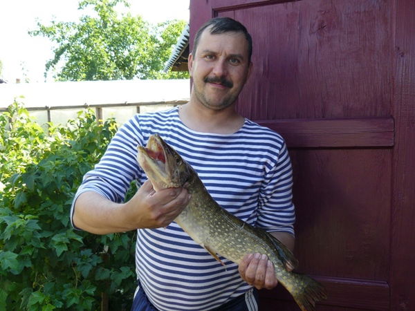 Евгений Тихонов