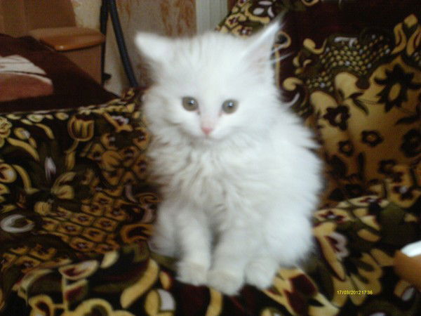 Юрий Сергеевич