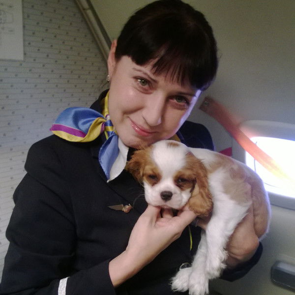 Яна Болдаевская