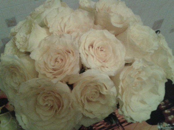 Татьяна Степанова