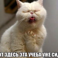 Мадияр Кумаргалиев