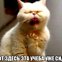 Мадияр Кумаргалиев