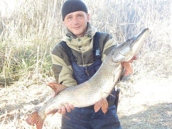 Андрей Соснов