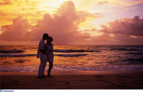 Егор Сучков