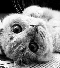 Эльвира Галеева