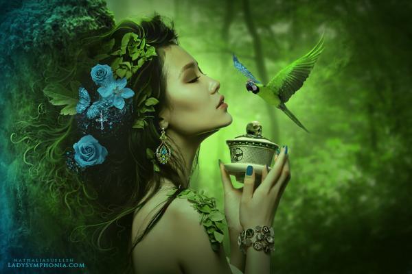 Елена Осипова